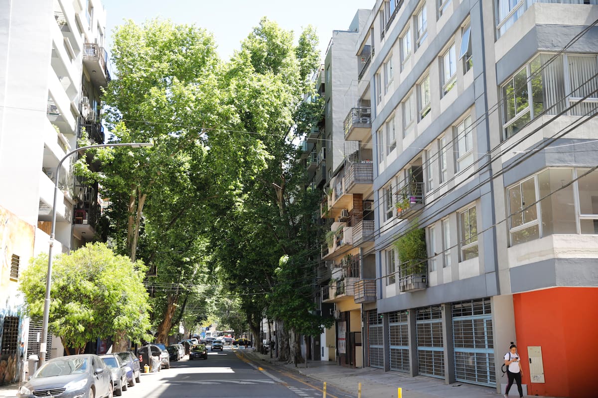 Alquileres: los barrios con más oferta y en los que los dueños pueden aceptar “bajas de precio”