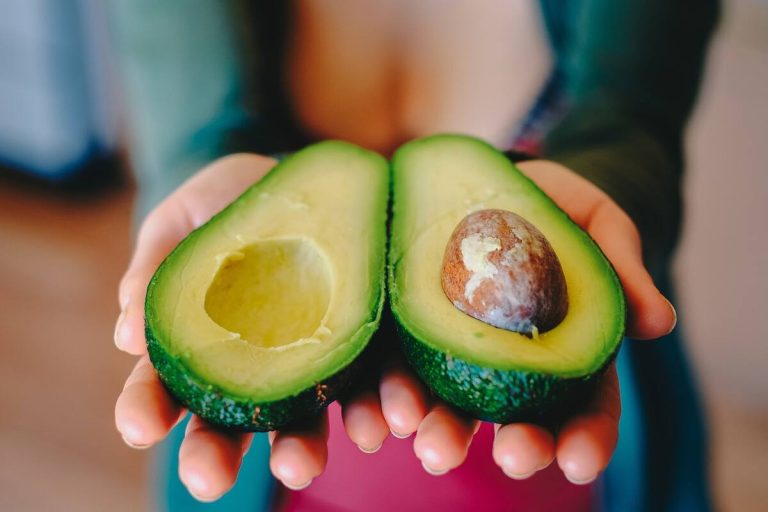 Cómo germinar semillas de palta en el jardín y obtener el árbol tan deseado