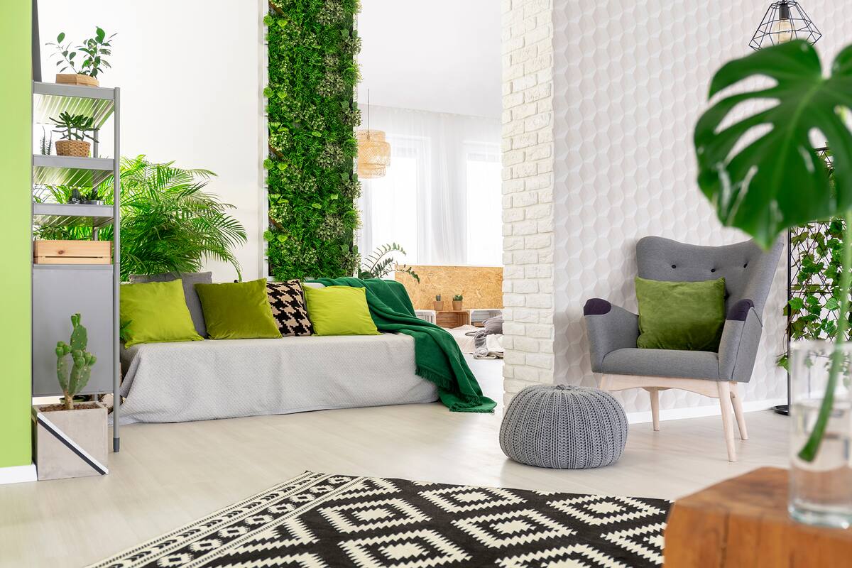 Paso a paso: cómo hacer un jardín vertical de interior