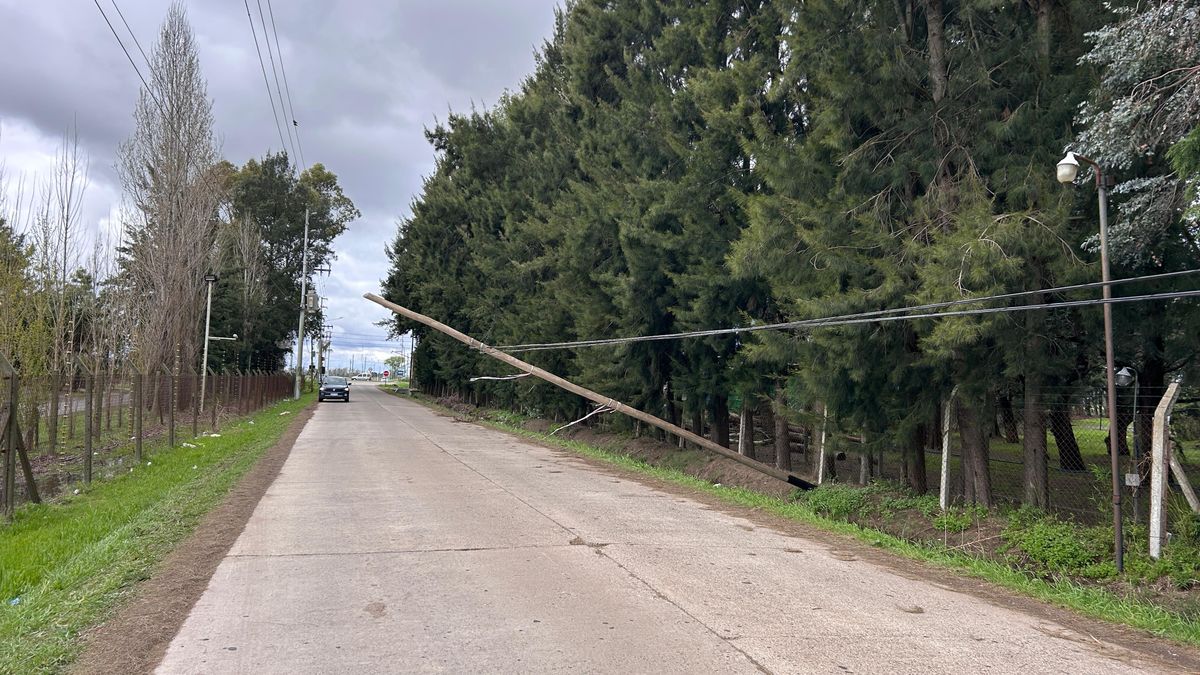 Canning: un poste caído por el temporal generó complicaciones en la calle El Deslinde