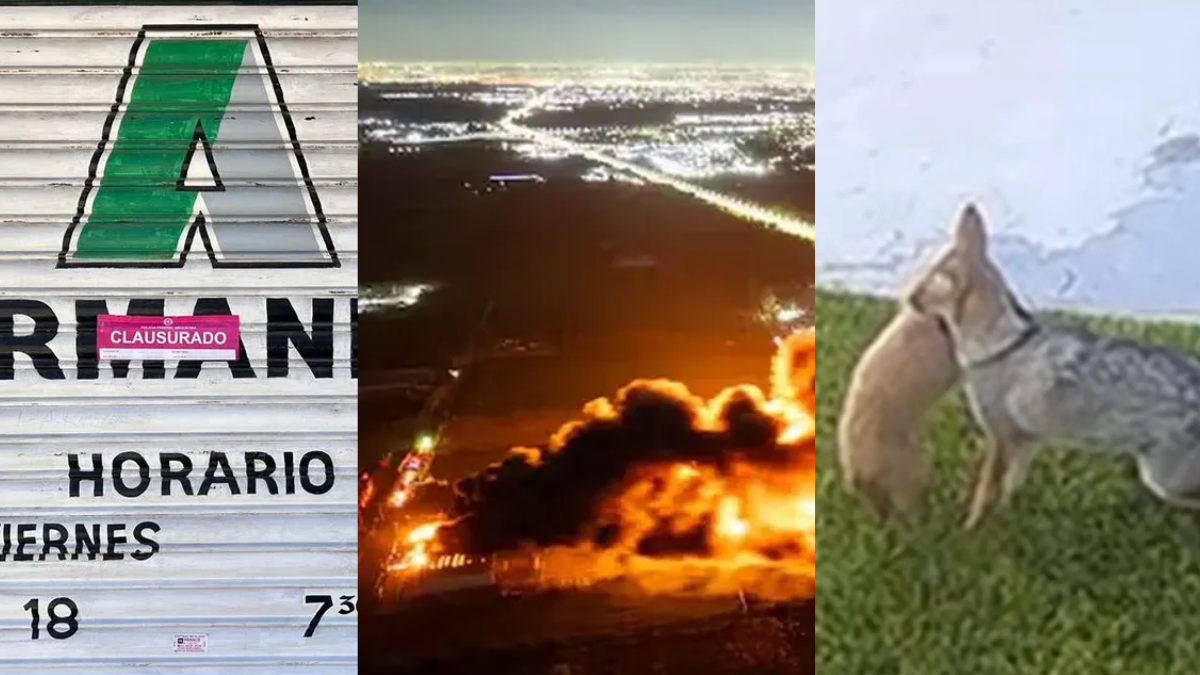 Lo que dejó el 2025 en Canning: triunfos deportivos, conflictos y vida social