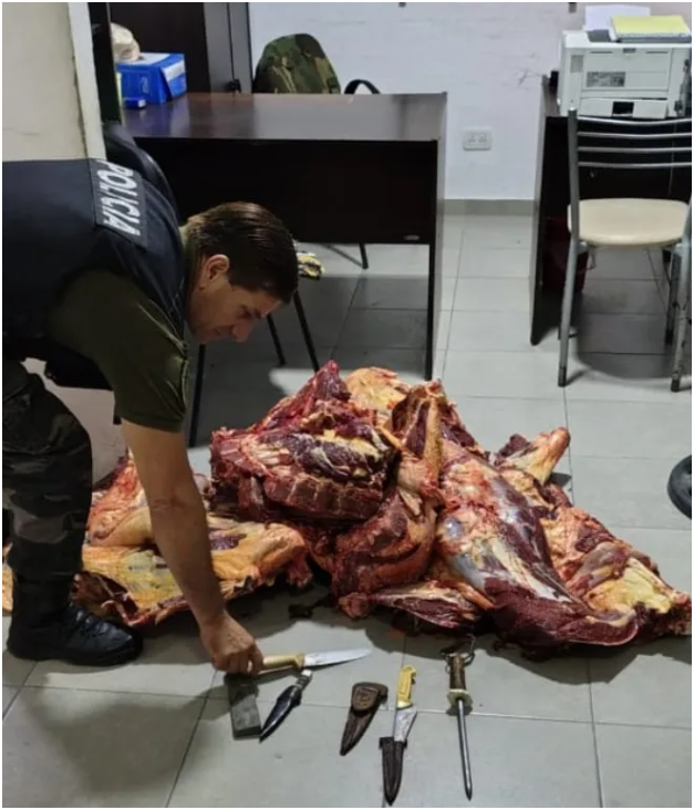 Canning: 150 kilos de carne podrida circulaban en una F-100 sin ningún control 1 Canning: 150 kilos de carne podrida circulaban en una F-100 sin ningún control