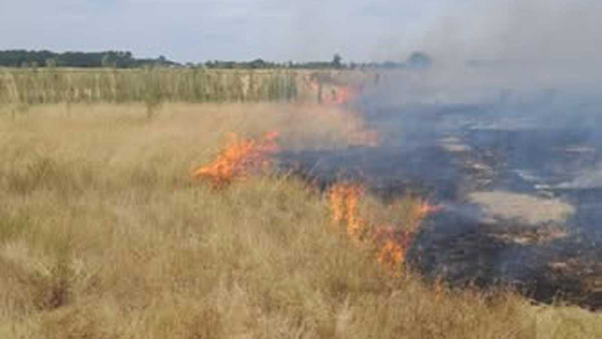 Bomberos sofocaron un incendio pastizales lindero a un country de Canning