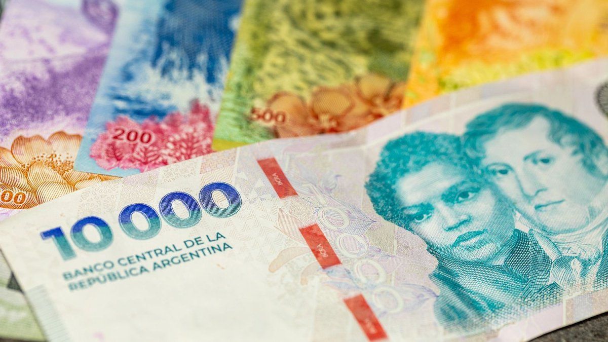 Economía licita deuda en pesos ante reducción de volatilidad de tasas