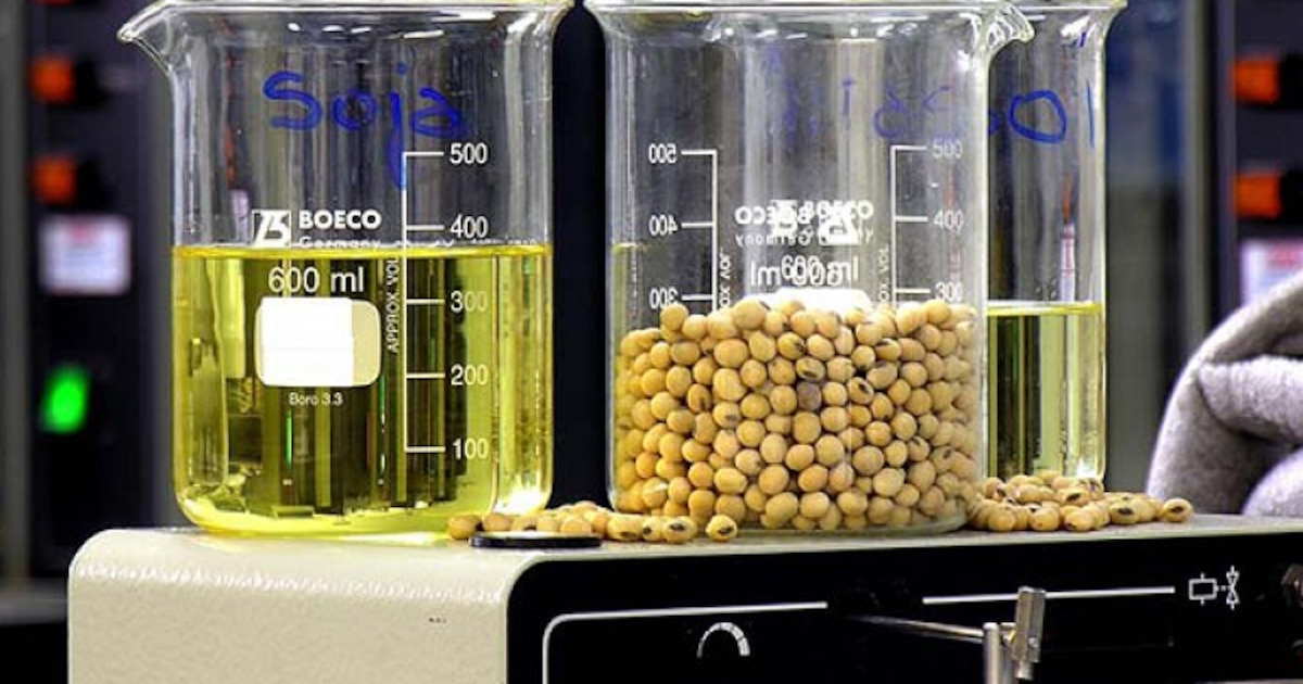 La Argentina podría perder USD 350 millones en exportaciones de biodiésel de soja por restricciones de la Unión Europea 1 La Argentina podría perder USD 350 millones en exportaciones de biodiésel de soja por restricciones de la Unión Europea