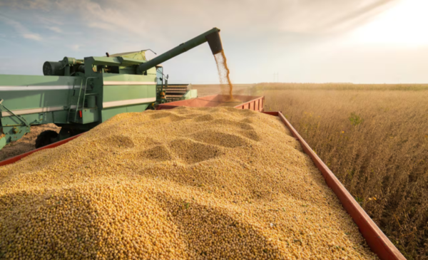 La Cosecha 2025/26: Récord Histórico y Proyección de Fuerte Aumento en Exportaciones<br> 5 La cosecha 2025/26 apunta a un récord histórico y proyecta un fuerte salto exportador