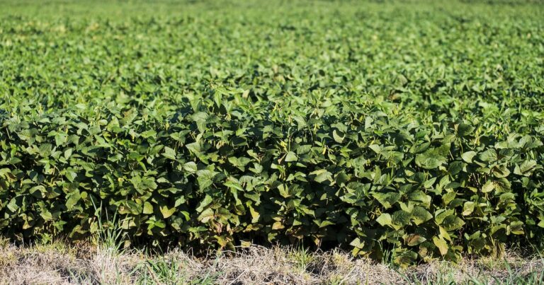 "Quién Gana y Quién Pierde con el Acuerdo: Análisis Completo de Impactos y Beneficios" 7 Quién gana y quién pierde con el acuerdo