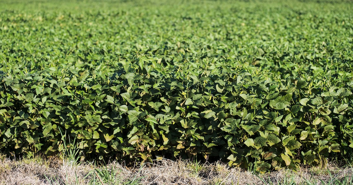 "Quién Gana y Quién Pierde con el Acuerdo: Análisis Completo de Impactos y Beneficios" 1 file 192