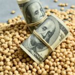 Lluvia de dólares: por la baja de retenciones, el campo exportó más de US$ 50.000 millones en 2025