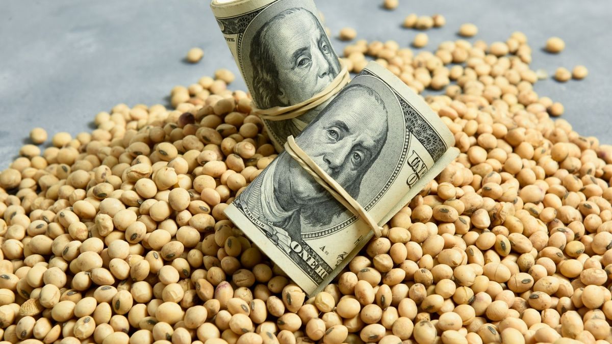 Lluvia de dólares: el campo exportó más de US$ 50.000 millones tras la baja de retenciones en 2025