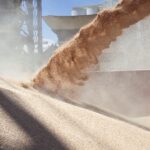 Divisas del campo: ingresaron US$ 1.850 en enero, 82% más que en diciembre