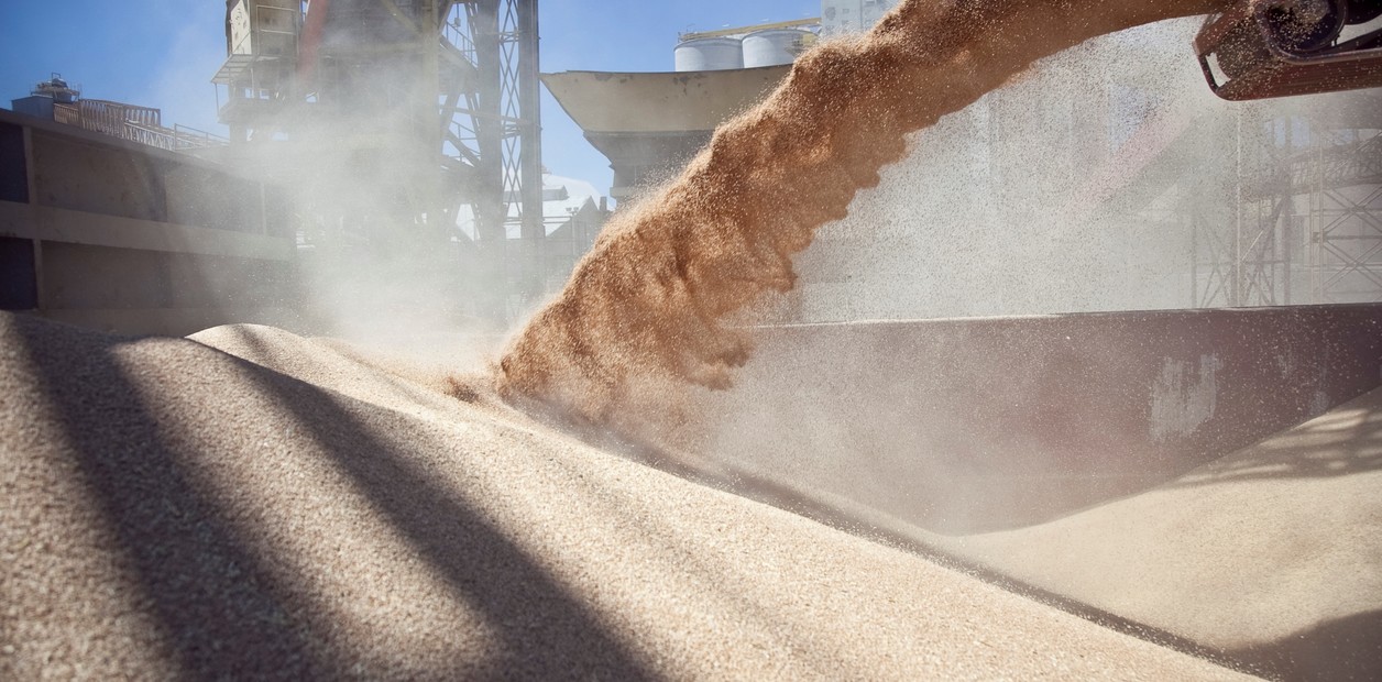 Divisas del campo alcanzan US$ 1.850 en enero, 82% más que en diciembre 1 Divisas del campo alcanzan US$ 1.850 en enero, 82% más que en diciembre