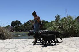 <h1>Pronóstico del Clima en Buenos Aires: Temperaturas y Condiciones para Hoy, 26 de Febrero</h1> 3 temperatura buenos aires