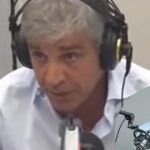 “¿Cuándo empieza a mejorar la actividad?”, la pregunta de Eduardo Feinmann a Luis Caputo sobre la economía argentina