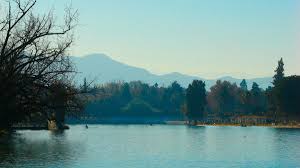 <html>
<head> <title>Pronóstico del tiempo en Mendoza: Alertas y condiciones del 3 de febrero</title>
</head>
<body> <h1>Pronóstico del tiempo en Mendoza: Alertas y condiciones del 3 de febrero</h1>
<p>Hoy, 3 de febrero, los mendocinos se preguntan acerca de <strong>cómo estará el tiempo</strong> en su provincia. Según Infobae, se esperan condiciones variadas a lo largo del día, lo cual es clave para planificar actividades al aire libre.</p> <h2>Alerta amarilla por tormentas</h2>
<p>TN ha informado sobre un <strong>alerta amarilla por tormentas</strong> en Mendoza, que afecta a varias zonas de la provincia. Es esencial que los habitantes estén preparados y tomen precauciones ante posibles fenómenos climáticos severos.</p> <h2>Pronóstico del tiempo para el comienzo de la semana</h2>
<p>Por su parte, Mendoza Post detalla que el lunes comenzará sin lluvia, con un clima cálido y estable. Esto representa una oportunidad para disfrutar del aire libre, aunque es importante estar atentos a los cambios en el <strong>clima</strong>.</p> <p>Para más información sobre el tiempo en Mendoza, puedes consultar las siguientes fuentes: Infobae, TN y Mendoza Post.</p> </body>
</html> 2 el tiempo