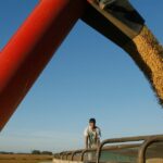 El agro liquidó USD 1.850 millones en enero: 82% más que en igual período de 2025