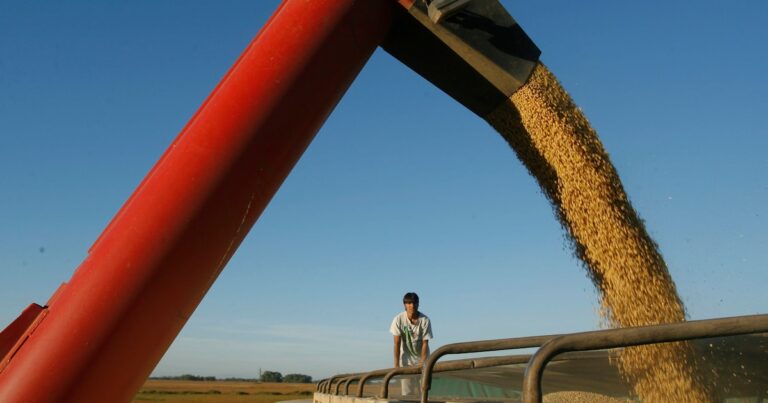 El agro liquidó USD 1.850 millones en enero: 82% más que en igual período de 2025