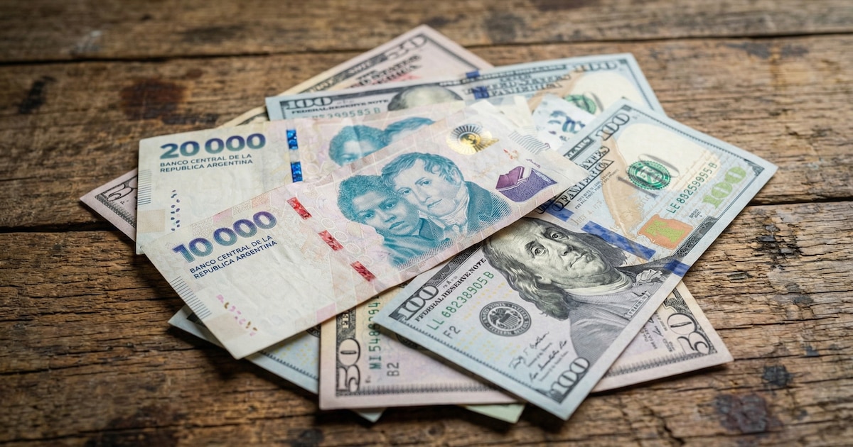 Boom de créditos en dólares y leve repunte del financiamiento en pesos en enero