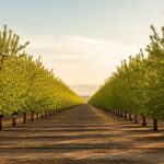 Semáforo de economías regionales: solo 4 de 19 sectores cerraron 2025 en verde