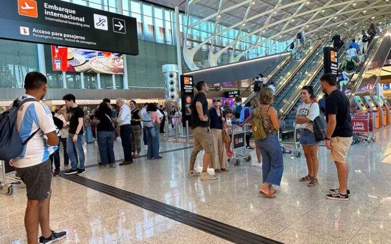 En qué gastaron sus dólares los argentinos