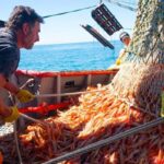 Tras siete años: la pesca volvió a superar los US$2000 millones en exportaciones