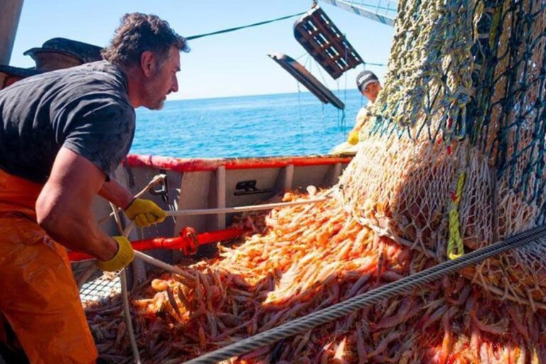 La pesca supera los US$2000 millones en exportaciones tras siete años 3 Tras siete años: la pesca volvió a superar los US$2000 millones en exportaciones
