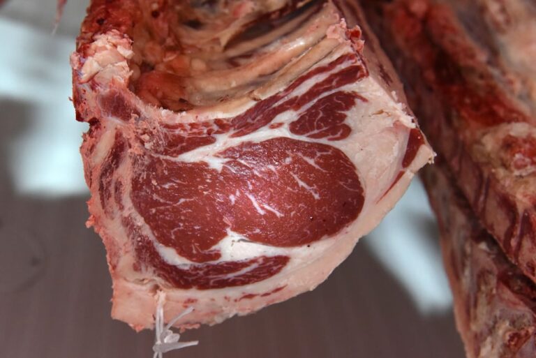 El acuerdo con EE.UU. y su impacto en las exportaciones de carne y precios en el mercado 6 El acuerdo con EE.UU. pone la lupa sobre el destino de las exportaciones de carne y el impacto en los precios