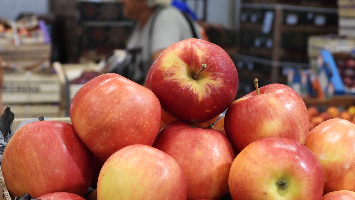 Récord de precios: la manzana alcanza cifras históricas en enero 1 Récord de precios: la manzana alcanza cifras históricas en enero