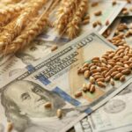 El agro aceleró la liquidación de dólares en enero: ingresó más de u$s1.850 millones, 82% por encima de diciembre