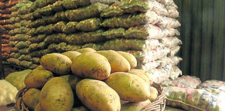 Crisis en economías regionales: Mejoras en la producción del centro del país 4 La mayoría de las economías regionales siguen en crisis, aunque hubo mejoras en una importante producción del centro del país