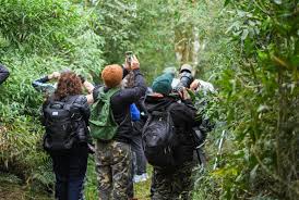 <h1>Feriado del 9 de Julio de 2026: Escapadas y Actividades para un Fin de Semana Largo</h1> 4 feriado julio 2026