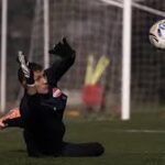 lucas lavagnino