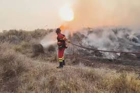 <h1>Incendios en Almería: Tragedia, Causas y Futuro de la Región</h1> 1 almeria.png