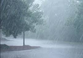 <html>
<head> <title>Reconquista Hoy: Efectos de la Tormenta en la Región y Situación Actual</title> <meta name="description" content="Últimas novedades sobre la tormenta en Reconquista y sus alrededores. Conocé los daños y la situación actual.">
</head>
<body> <h1>Reconquista Hoy: Efectos de la Tormenta en la Región y Situación Actual</h1> <p><strong>En las últimas horas, Reconquista ha sido golpeada por una intensa lluvia que alcanzó los 55 mm hasta las 5:30 del domingo.</strong> Este fenómeno ha generado preocupaciones entre los vecinos y autoridades locales, que están evaluando los efectos en la infraestructura y en las viviendas.</p> <h2>San Javier y la Fuerza de la Tormenta</h2> <p>La situación no se limita a Reconquista. San Javier también sufrió las consecuencias de un fuerte temporal, con vientos intensos y lluvias que causaron serios inconvenientes. <strong>Los reportes indican que hubo voladuras de techos y daños significativos en propiedades.</strong></p> <h2>Daños En Santa Fe: Un Panorama Desalentador</h2> <p>El impacto de la tormenta se ha sentido en otras localidades de Santa Fe. San Justo y San Javier reportan daños considerables debido al fenómeno climático. <strong>Las autoridades están trabajando para evaluar la gravedad de la situación y brindar asistencia a los afectados.</strong></p> <h2>Qué Hacer Ante la Emergencia</h2> <p>Es fundamental que los vecinos de la región se mantengan informados y tomen precauciones. <strong>Se recomienda evitar salir de casa a menos que sea absolutamente necesario y seguir las indicaciones de las autoridades locales.</strong></p> <h2>Conclusión</h2> <p>La situación en Reconquista y sus alrededores es complicada debido a los efectos de la tormenta. <strong>Es importante mantenerse al tanto de las actualizaciones y seguir las recomendaciones de los organismos de emergencia.</strong> Para más información, seguí los enlaces a las noticias relacionadas con "Reconquista Hoy".</p>
</body>
</html> 2 reconquista hoy
